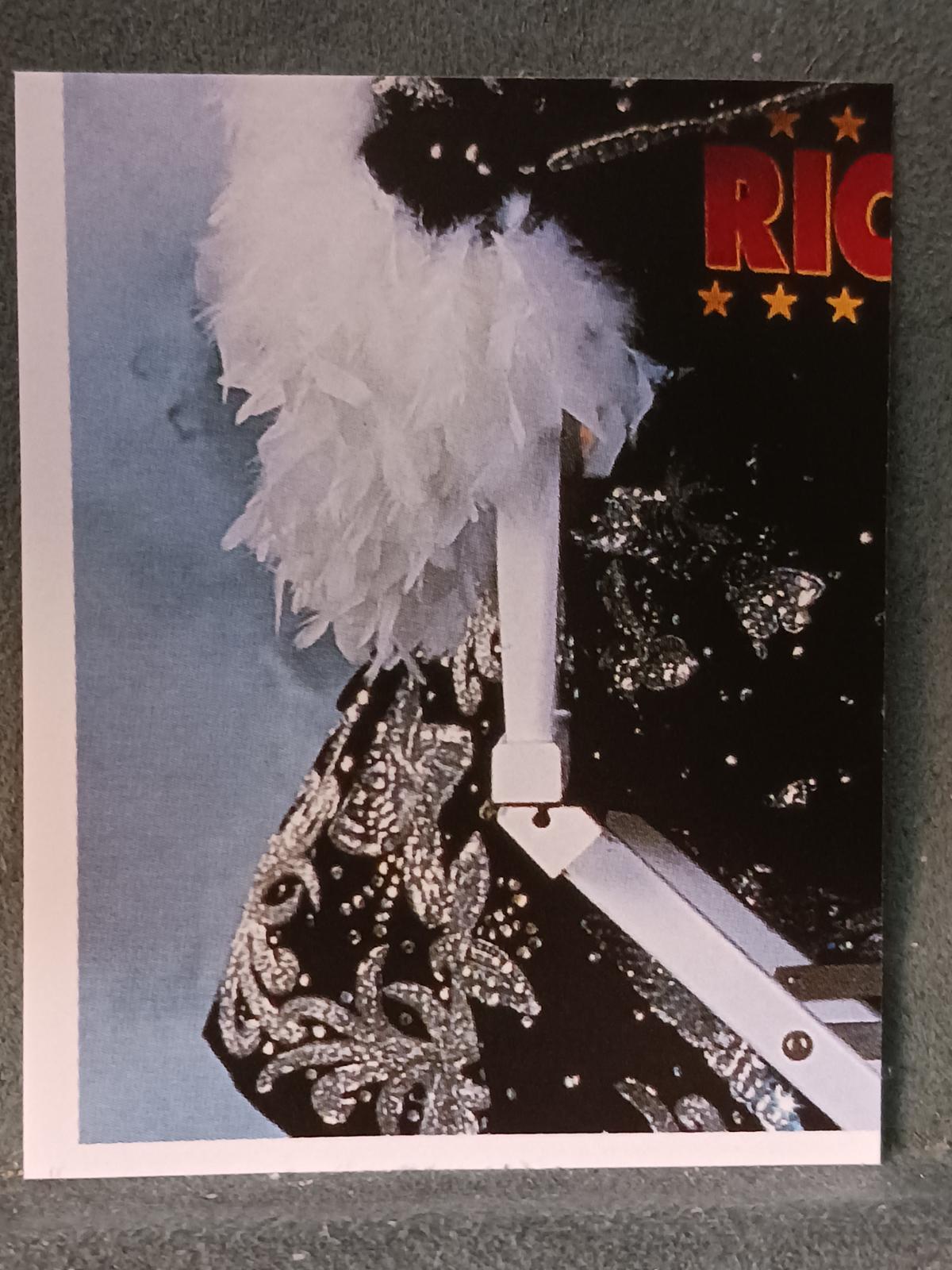 Ric Flair #47 Wrestling Cards 1992 Merlin WWF Stickers