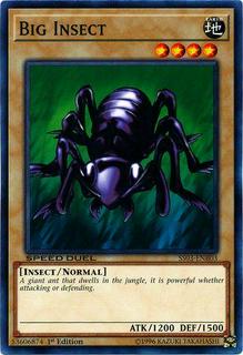 Big Insect SS03-ENB03