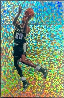 David Robinson Foil