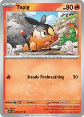 Tepig #29