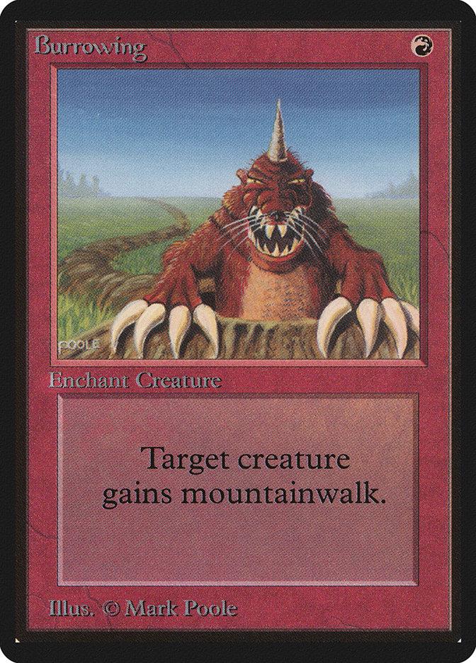 Burrowing Magic Beta