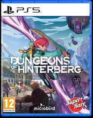 PriceCharting Loose Price - Dungeons Of Hinterberg PAL Playstation 5