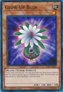 Glow-Up Bulb SDCL-EN021