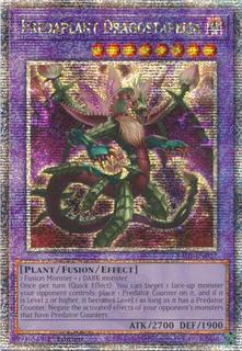 Predaplant Dragostapelia RA01-EN027