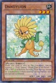 Dandylion BP02-EN077