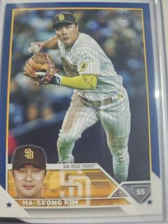 Ha Seong Kim