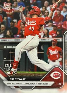 Sal Stewart