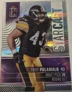 Troy Polamalu
