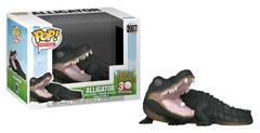Alligator #2007 (Movies)