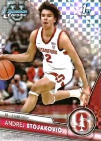 Andrej Stojakovic