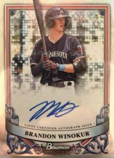Brandon Winokur