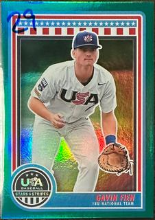 Gavin Fien