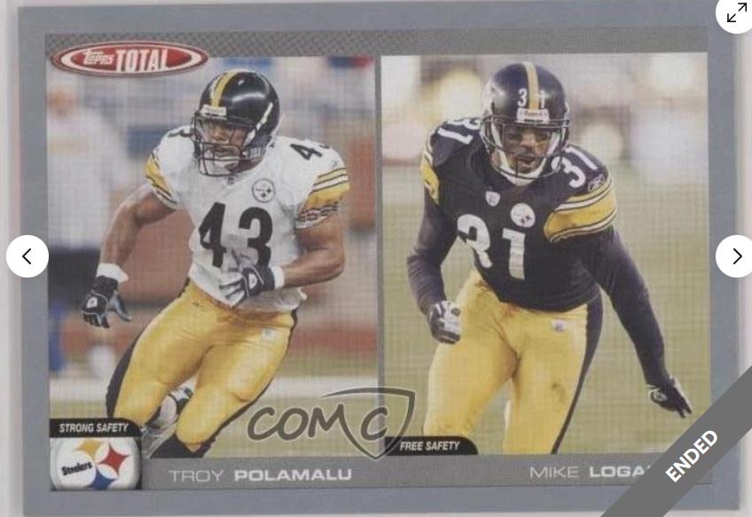 Troy Polamalu, Mike Logan [Silver] #244