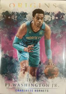 PJ Washington Jr.