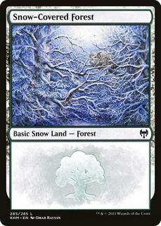 Snow-Covered Forest
