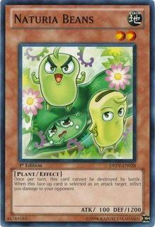 Naturia Beans DREV-EN028