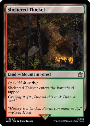 Sheltered Thicket #304 Magic Doctor Who