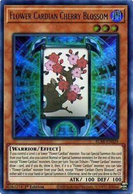 Flower Cardian Cherry Blossom BLAR-EN029 YuGiOh Battles of Legend: Armageddon