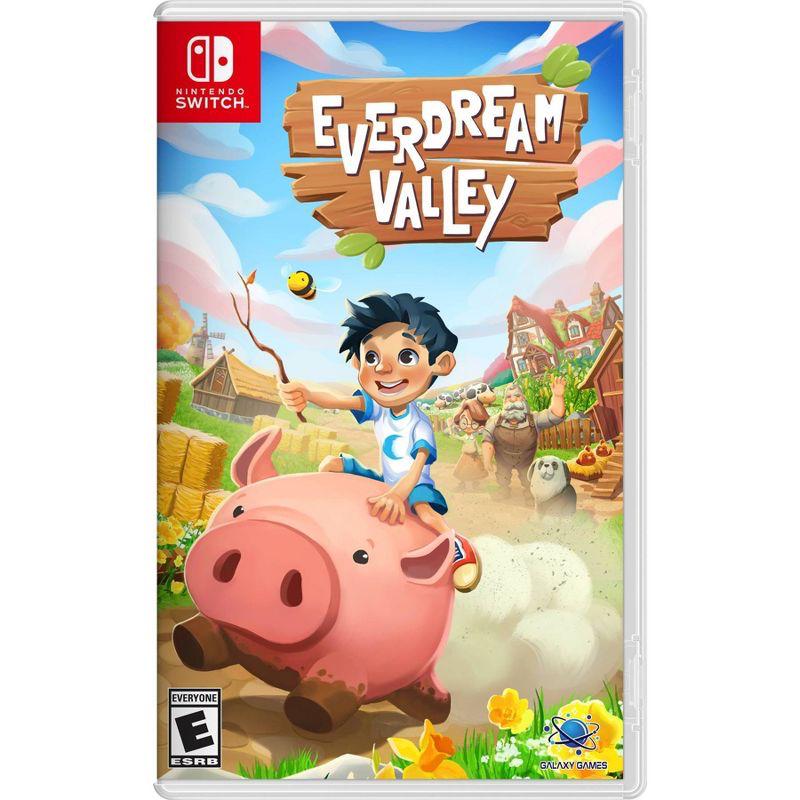 Everdream Valley Nintendo Switch