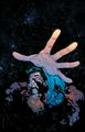 thumbnail cover art