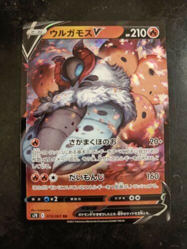 Volcarona V #15 Cover Art