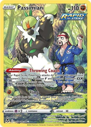 Passimian #TG08 Cover Art