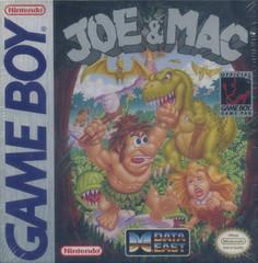 Joe and Mac GameBoy