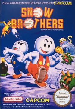 Snow Brothers PAL NES
