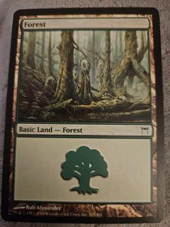 Forest