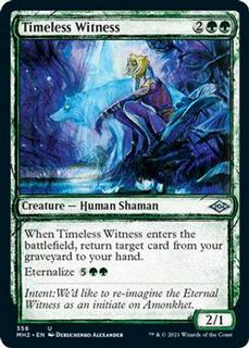 Timeless Witness