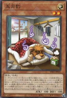 Depresspard INFO-JP031