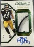 Troy Polamalu