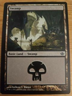 Swamp