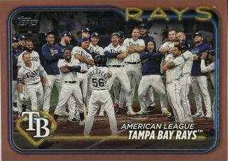 Tampa Bay Rays