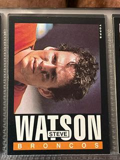 Steve Watson