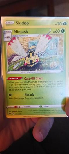 Ninjask #14 photo