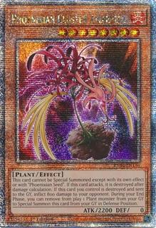 Phoenixian Cluster Amaryllis RA04-EN136