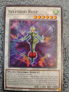Splendid Rose L5DD-ENA27