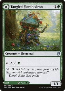 Tangled Florahedron & Tangled Vale