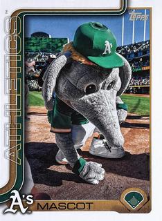 Mascot