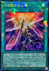 Piercing the Darkness [Collector's Rare] LOCH-JP078