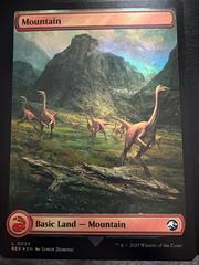 Mountain [Foil] #24