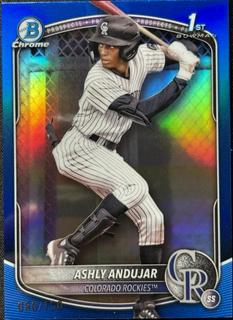 Ashly Andujar