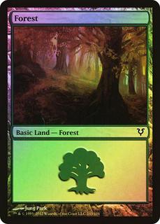 Forest
