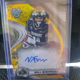 Will Sheppard