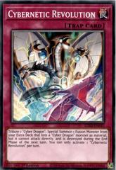 Cybernetic Revolution [1st Edition] LDS2-EN037