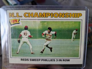 N. L. Championship