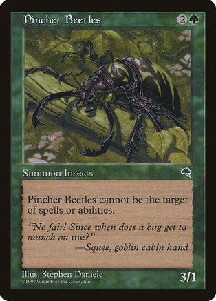 Pincher Beetles Magic Tempest