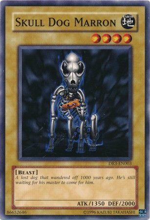 Skull Dog Marron DR3-EN003 YuGiOh Dark Revelation Volume 3