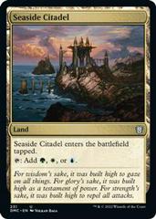 Seaside Citadel #231